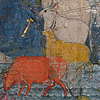 No:2635, Indian